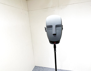 NEUMANN KU100